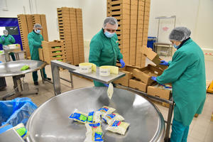02.11.2018. - Početak rada italijanske kompanije za preradu i pakovanje povrća La Linea Verde