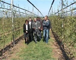 10.04.2012. - Dr Bojan Pajtić obišao plantaže PIK „Južni Banat