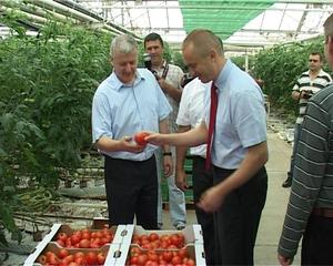 19.07.2013. -  Predsednik Vlade APV u poseti MZ Glozan i preduzecu DOO Agroplod