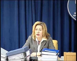 21.10.2013. -  Prof. dr Nadica Čemerlić Ađić na konferenciji o finansiranju i izgradnji Kamenice 2