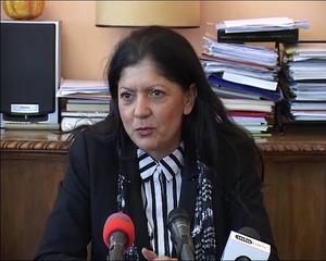 27.01.2014. - Prof. dr Vesna Kopitović o rešavanju problema nasilja u Novom Sadu