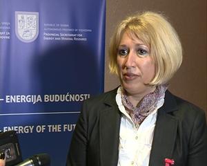 28.03.2014. - Nataša Pavićević-Bajić o energetskom sistemu u Vojvodini