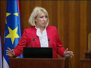 24.10.2014. - Završno izlaganje Nataše Pavićević-Bajić na Manifestaciji 