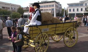 27.10.2017. Otvoren Vojvođanski sokak na menifestaciji 