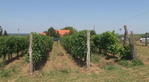03.07.2019. - Uručeni ugovori za unapređenje poljoprivredne proizvodnje