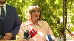 29.07.2024. - Predsednica Gojković povodom posete Sremskim Karlovcima