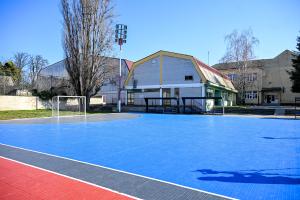 APV_6013