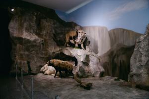 01.04.2026. - Svečanost povodom obeležavanja 60 godina rada Pokrajinskog zavoda za zaštitu prirode